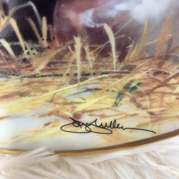 Franklin Mint Heirloom Collection Labrador Collectors Plate "Beginners Luck" - Picture 2 of 4